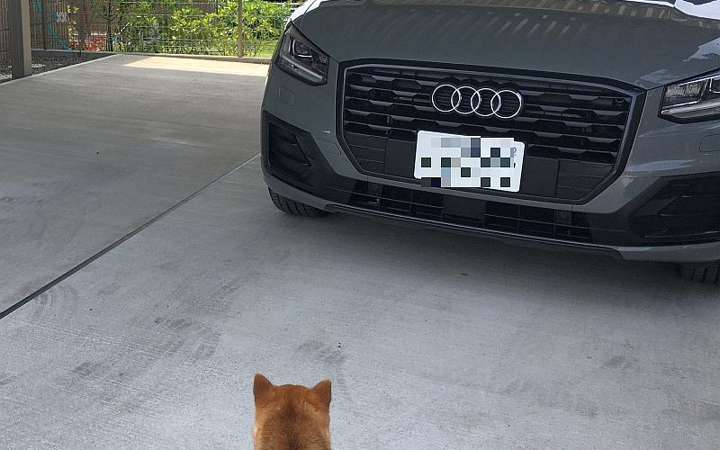 外車は嫌味なのか?自慢なのか?笑